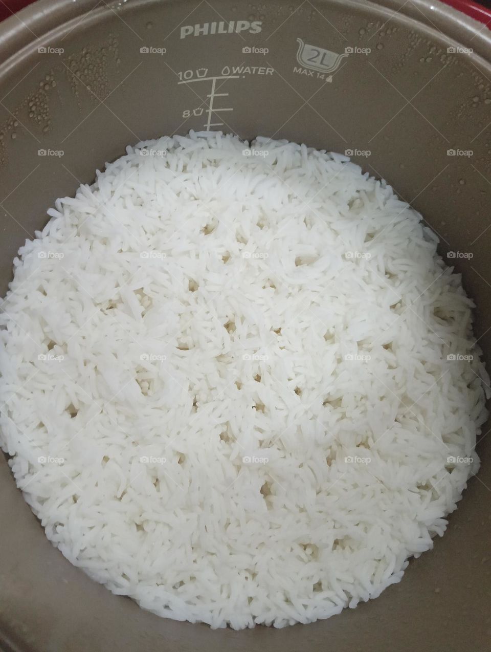 rice