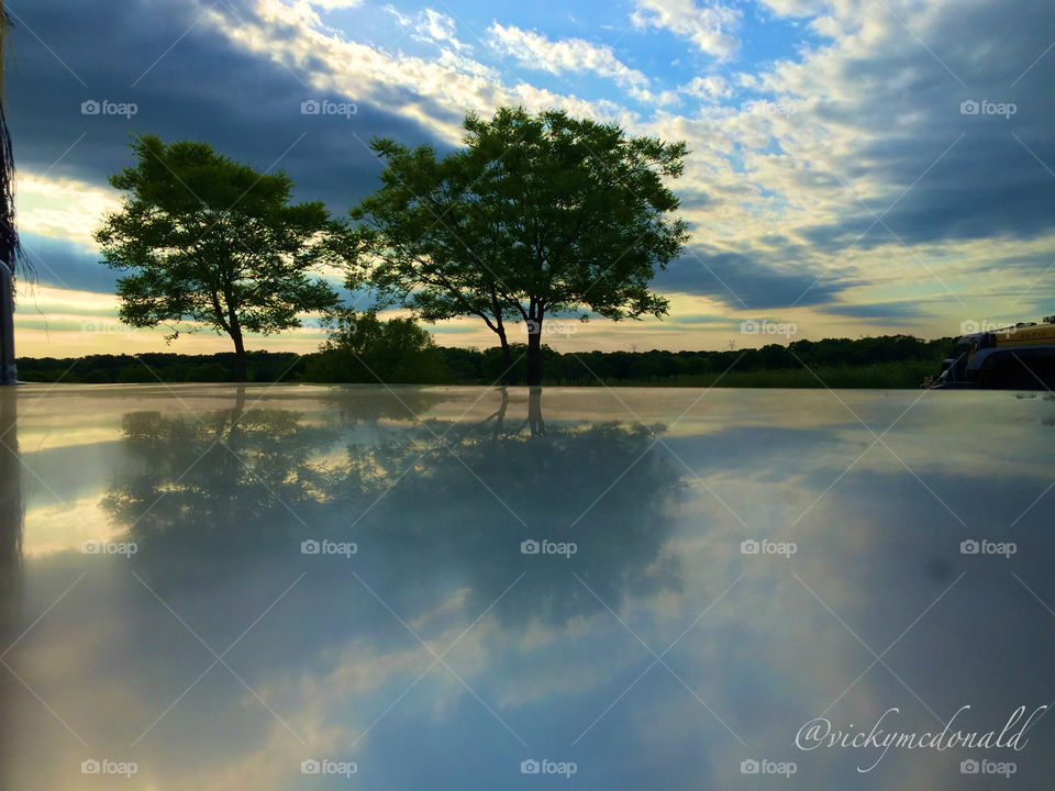 Tree reflection 