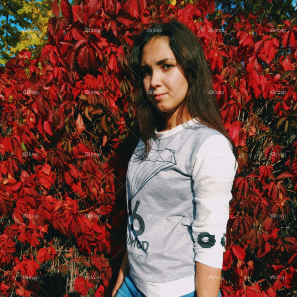 young beautiful girl on a background of red autumn leaves