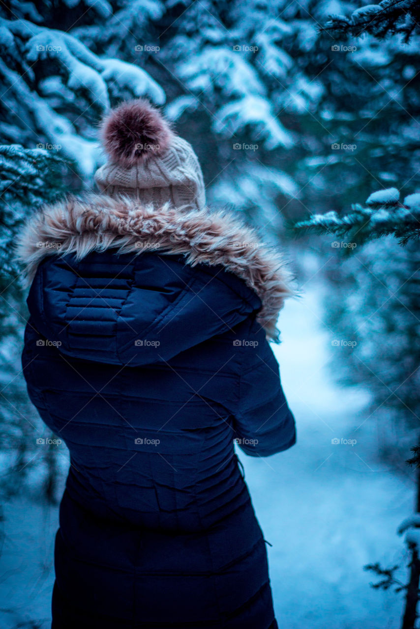 exploring Canadian woods in winter