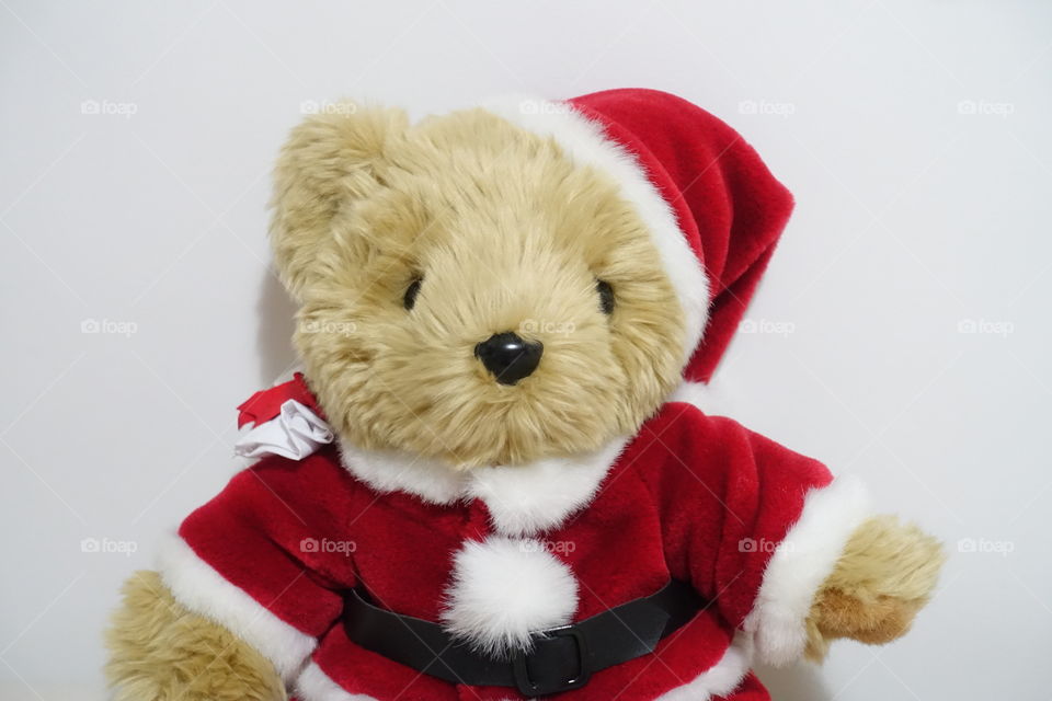 Teddy bear wearing in Santa costume.