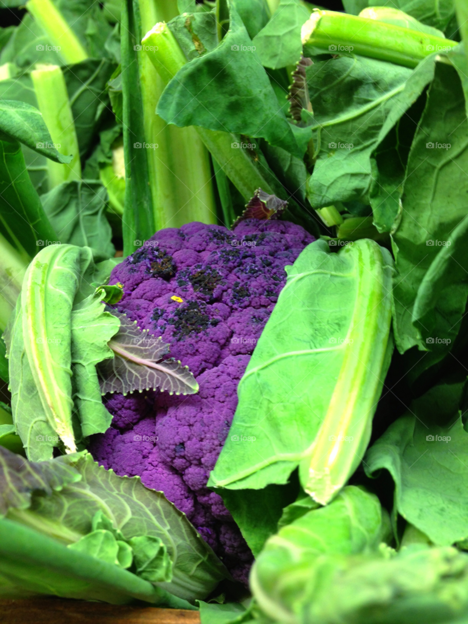 green purple organic vegetable by kenwilsonmax