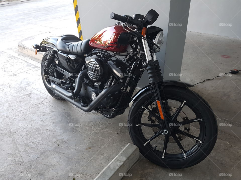 Harley Davidson sportster iron 883