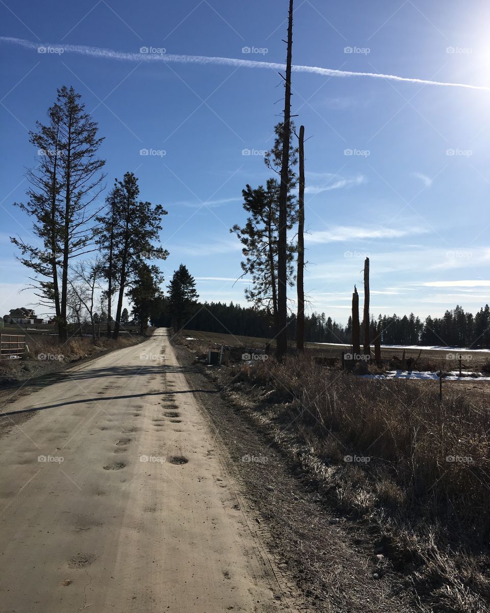 Out for a walk/run, dodging potholes while pushing a double stroller.
