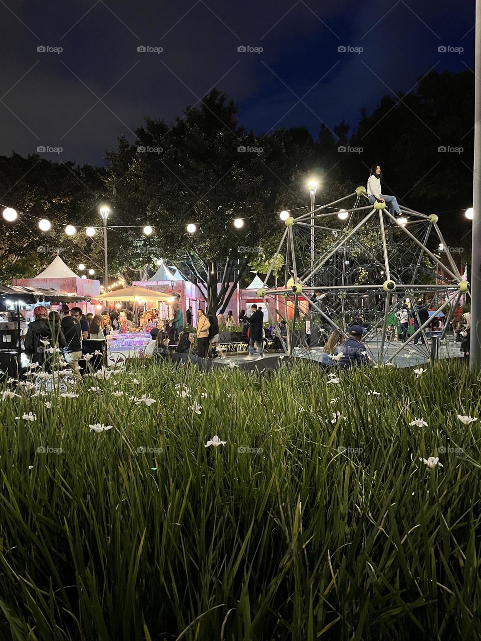 A fair in the park at night