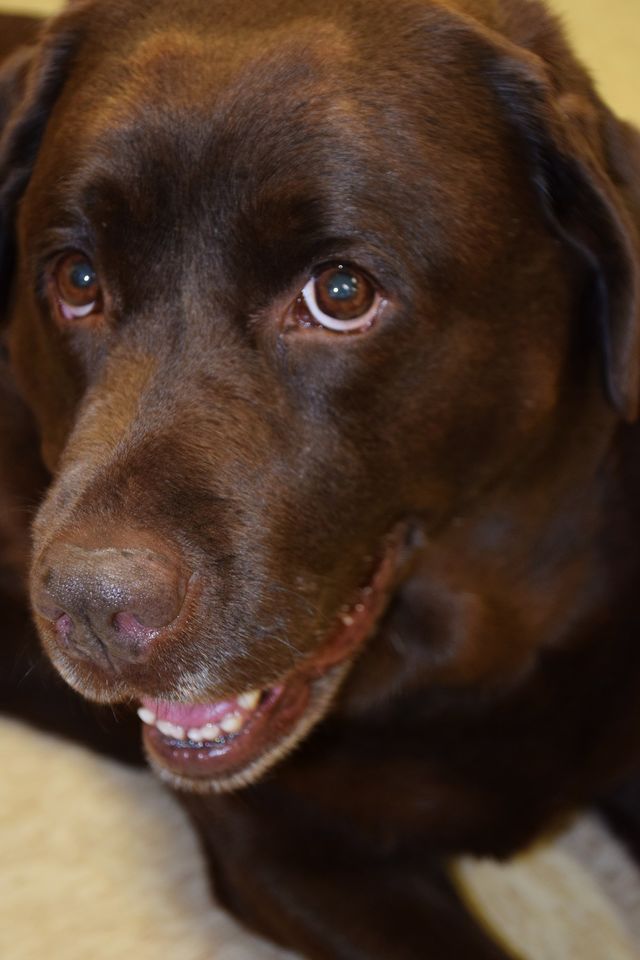 Tango