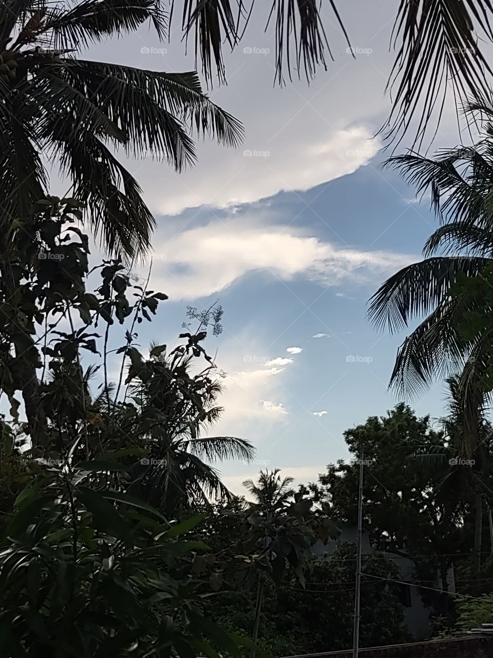 cloudy sunny day : deep blue sky