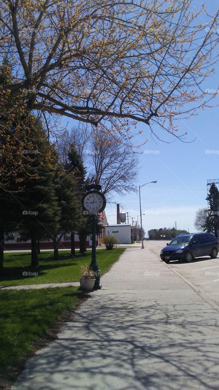 Tree, Road, Landscape, No Person, Outdoors