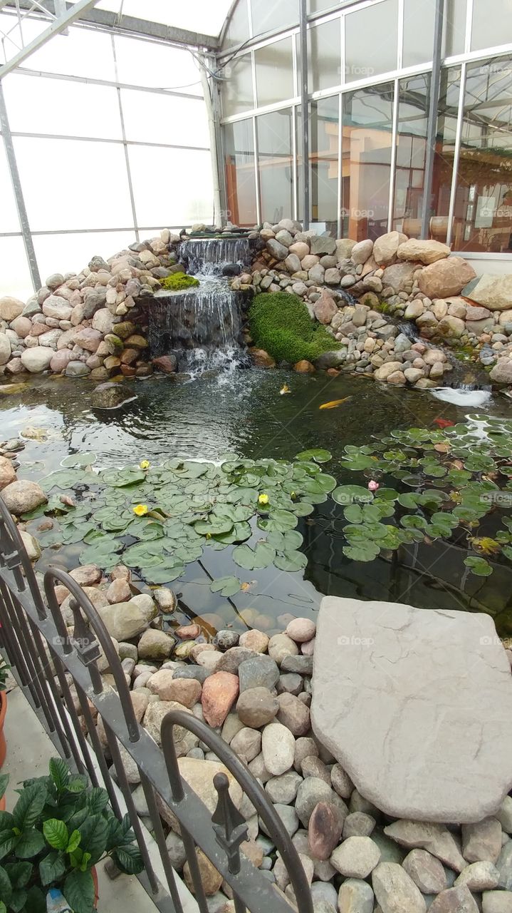 Indoor Pond
