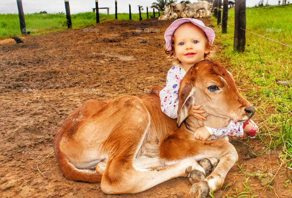 vaca gado roça criança