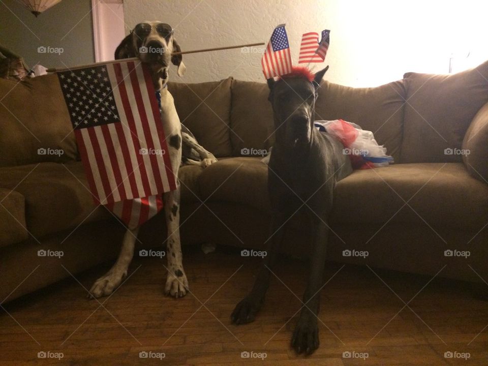 Veterans Day 🇺🇸