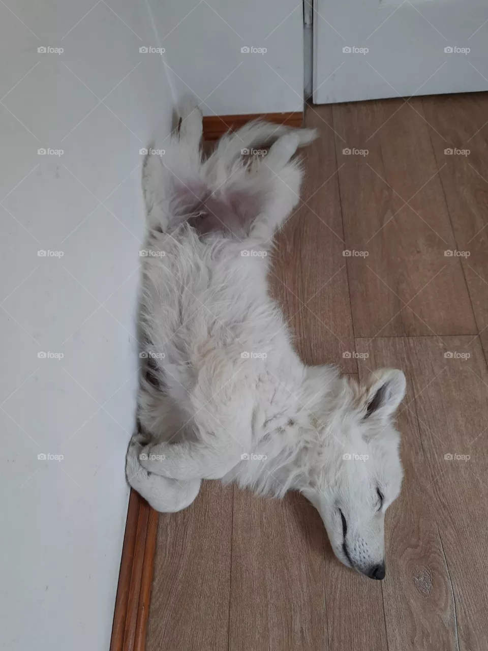 flying in a dream