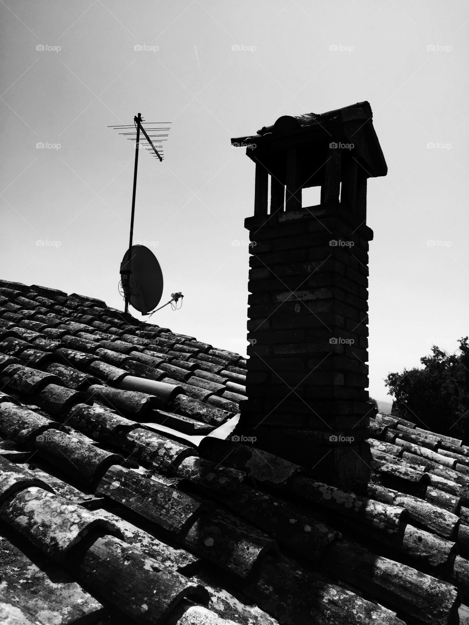 Shingles roof black and white 