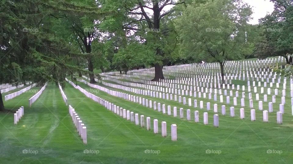 Arlington Nation Cemetery. One of many views of the scenic resting place of our nations soldiers.