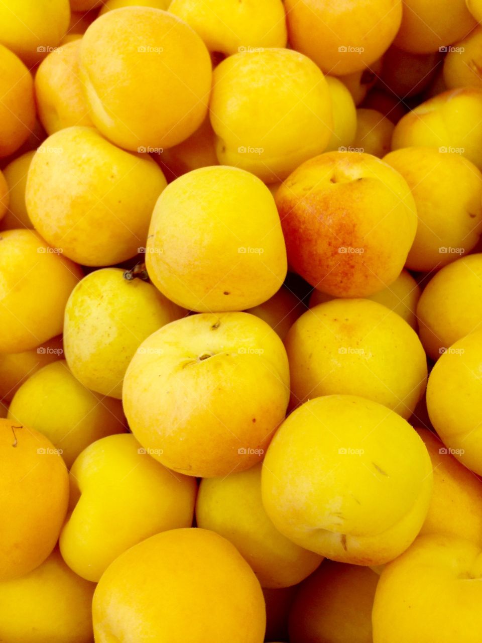 High angle view of apricot fruits