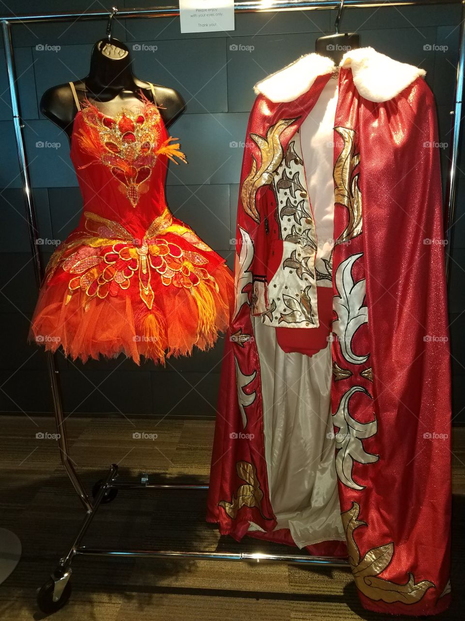 firebird costumes