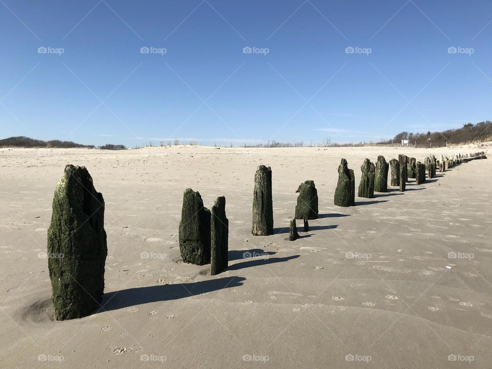 Wood stakes on beach