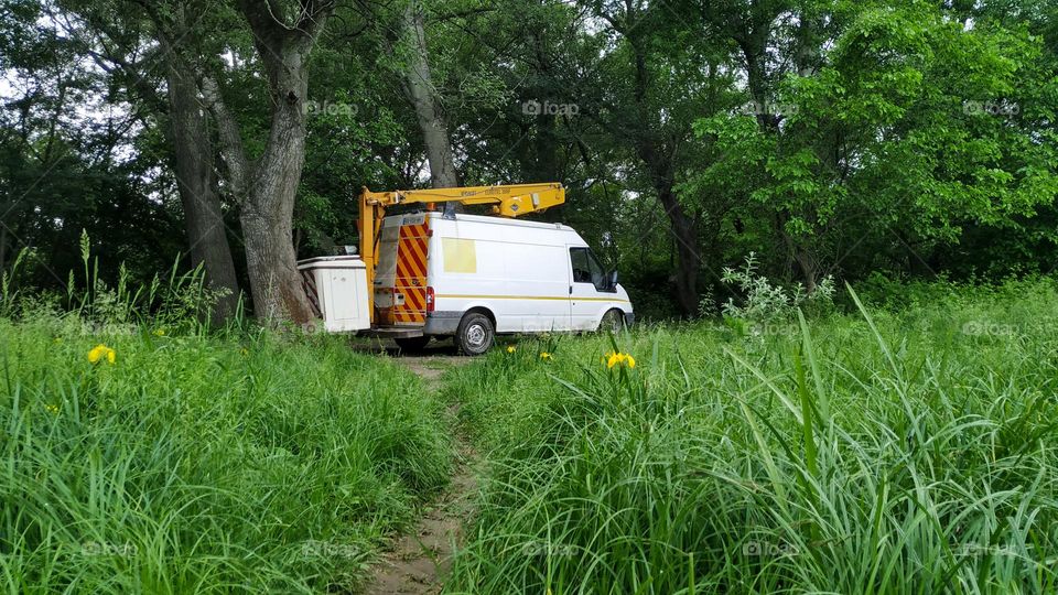 Service car in the forest