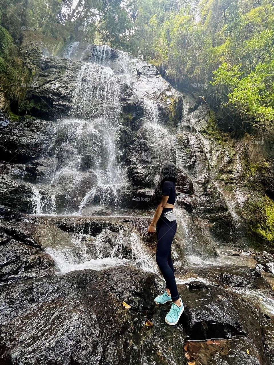 Exploring the magic forest 