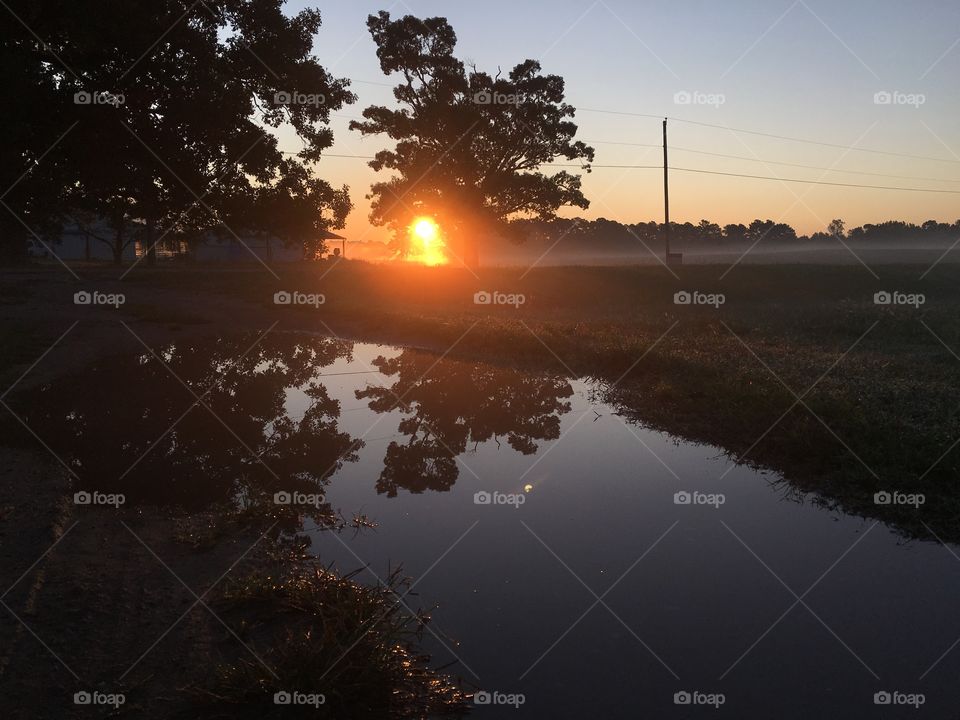 Sunrise over a puddle