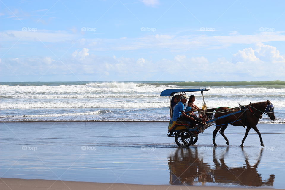 ekosistem ditepi pantai