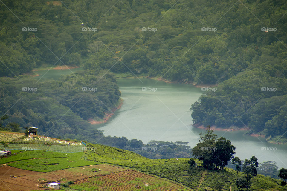 Nuwara Elisa Sri Lanka