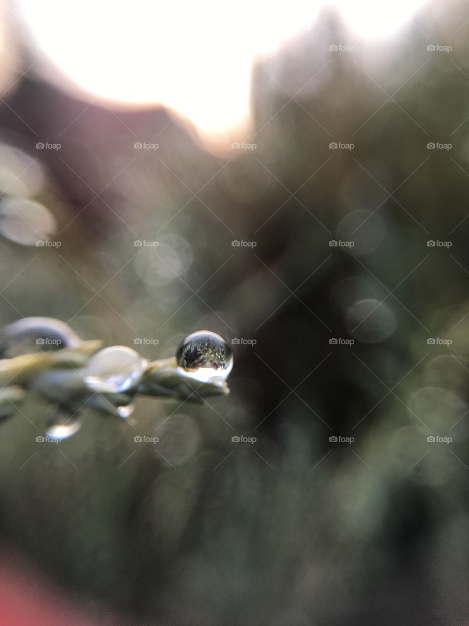 Blur, Rain, Nature, Reflection, Water