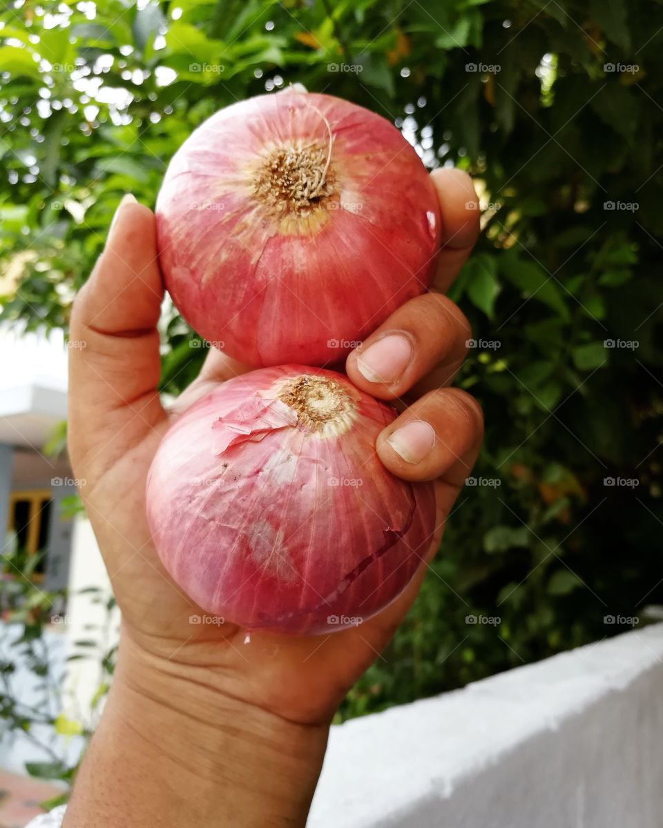 holding food