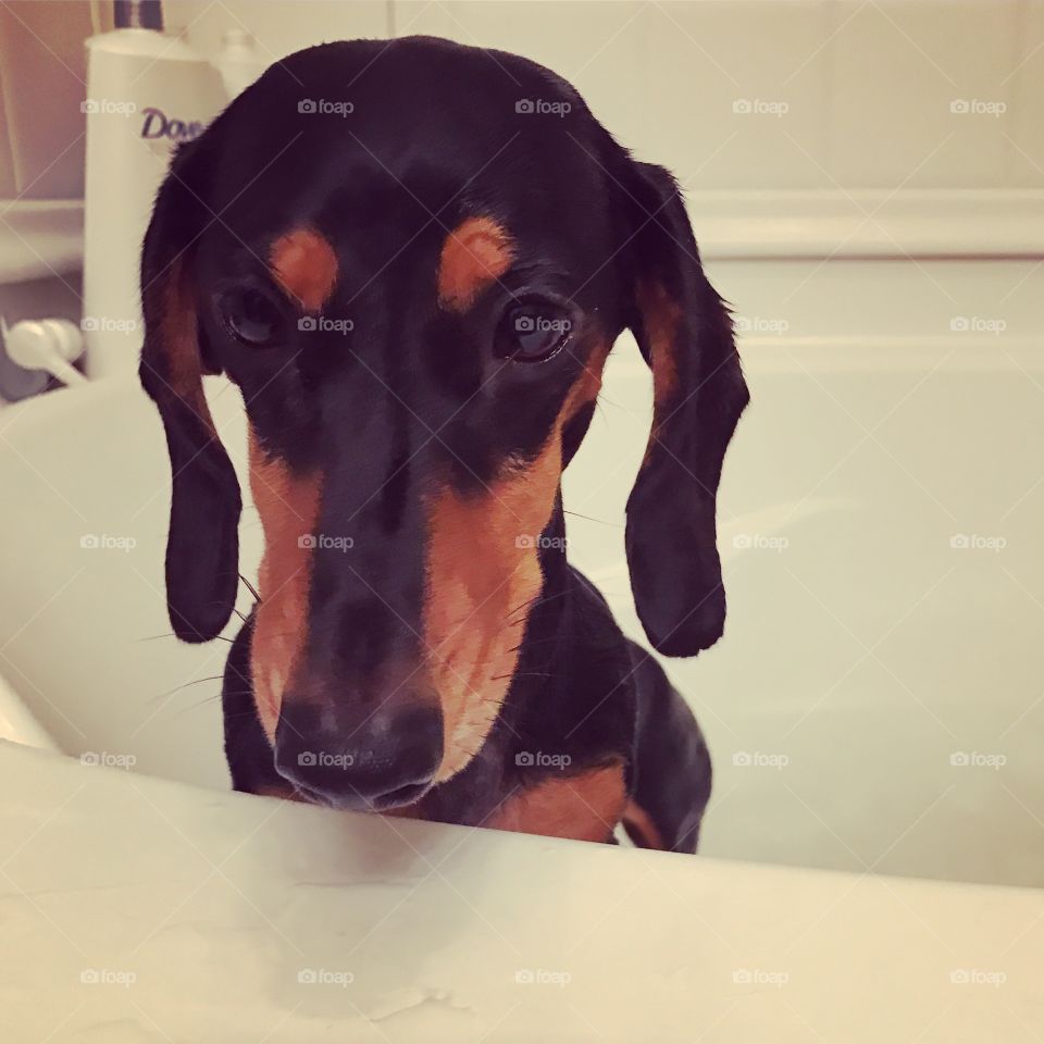 Elliott takes a bath
