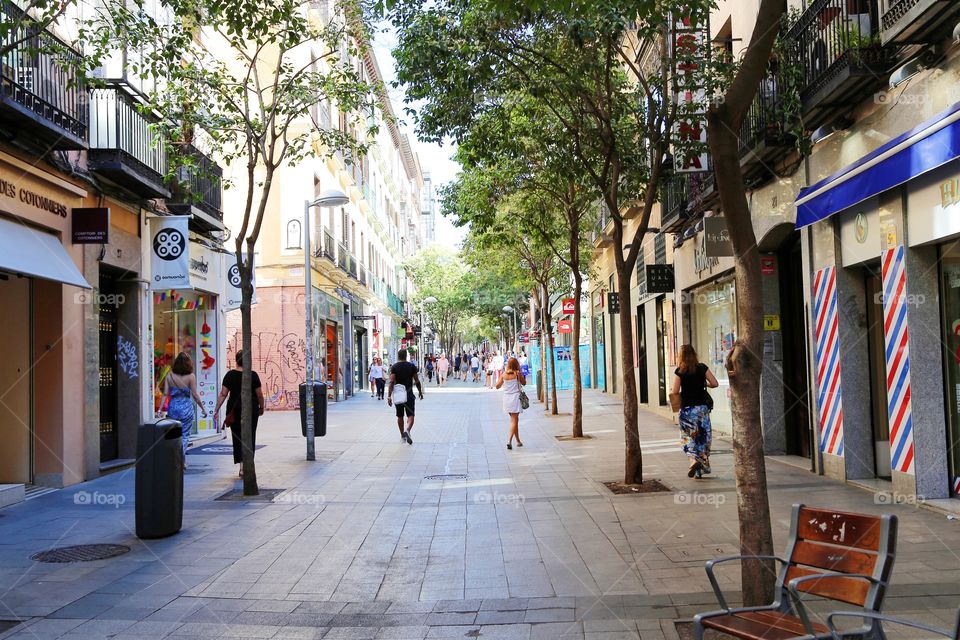 Calm street in the city of Madrid 