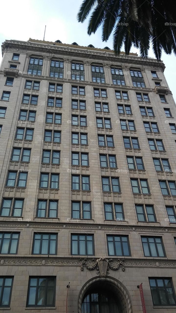 Rectangle architectural building in a downtown city