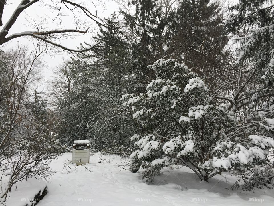 Wintery scene near the Martin Berry House