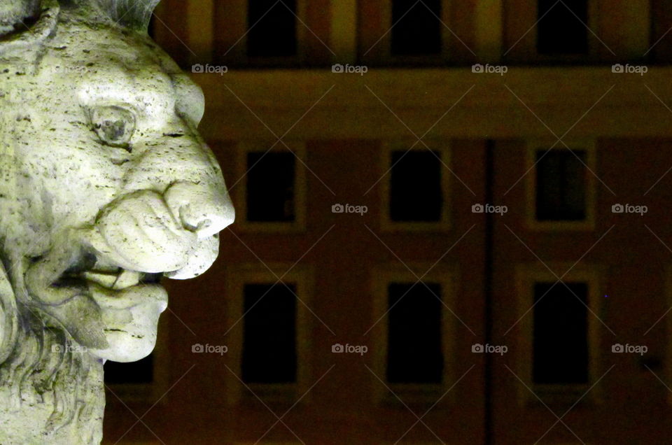 Close-up of lion statues head