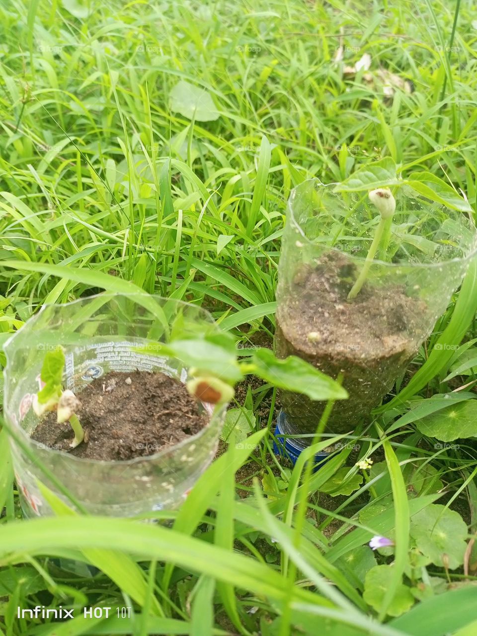 reusing plastics for a greener environment