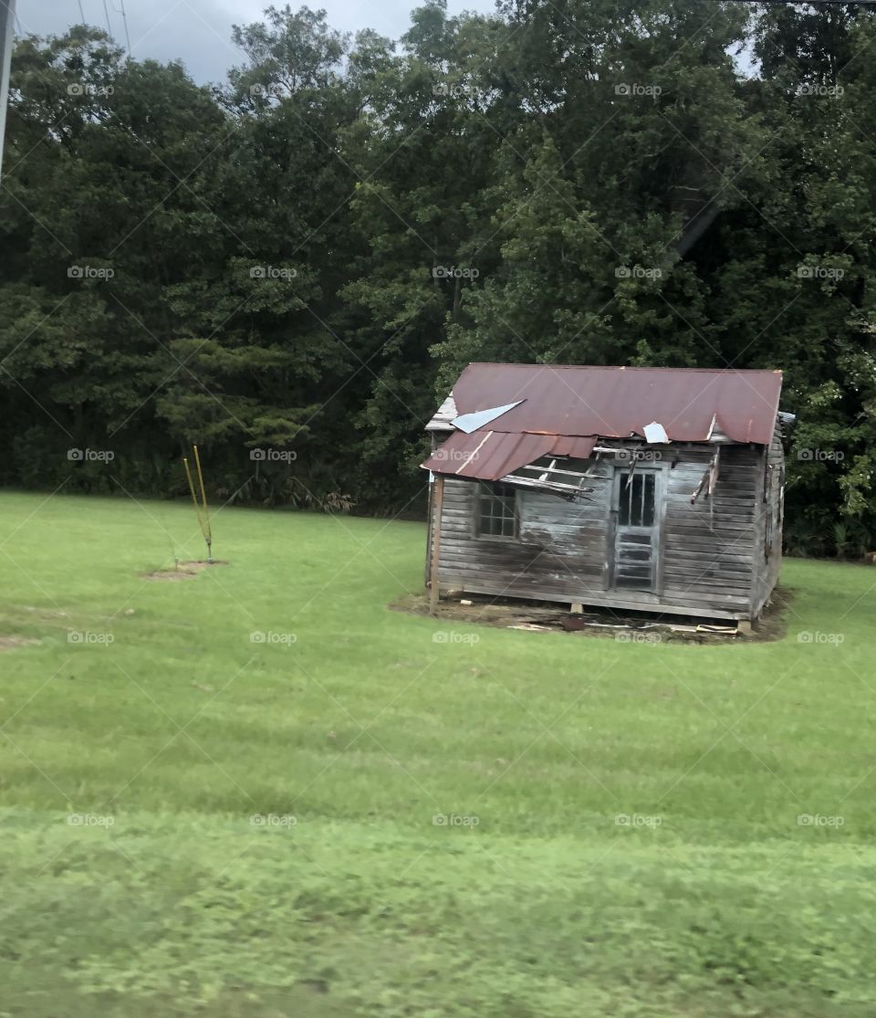 A very old wood and rusted tin roof small shack on a green plot of grass. 