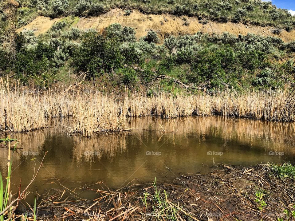 Evening hike pond reflection 