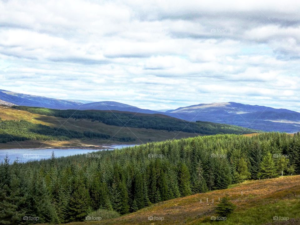 Mountains and forests