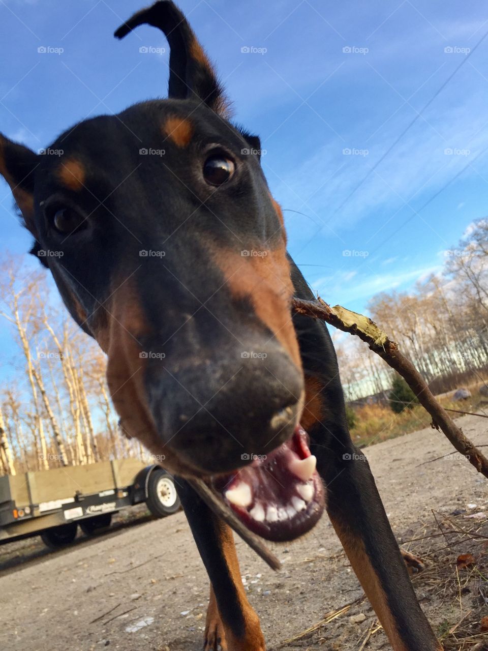 Loving the outdoors beautiful eyes 