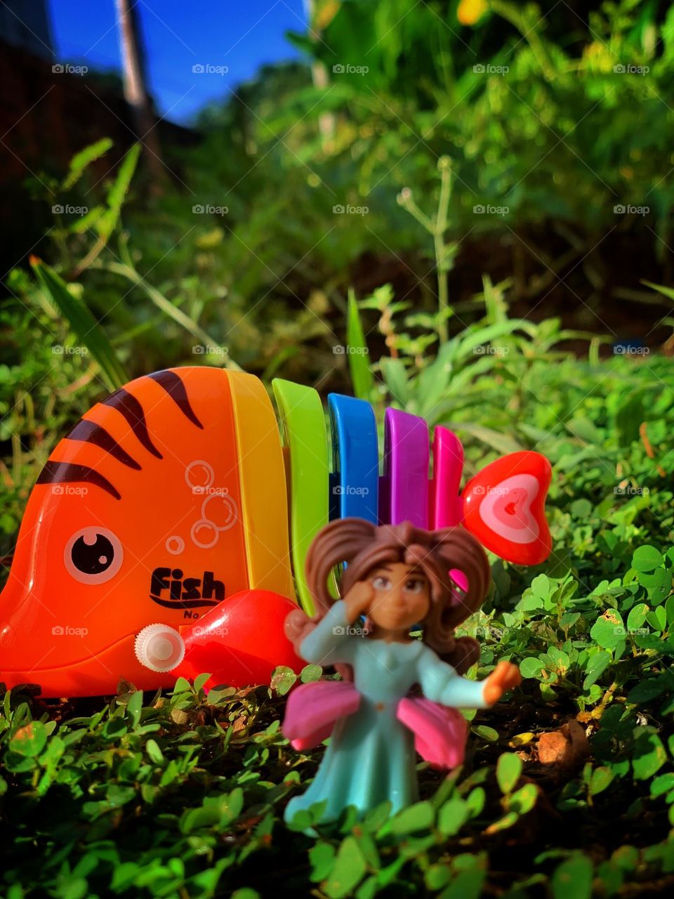 Rainbow in sun shines 