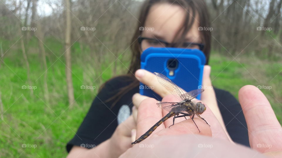 Dragonfly Friend