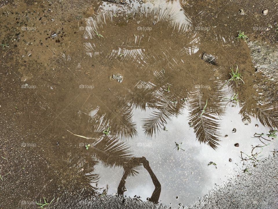 Shadow of Flora and Photographer
In Ground water
Amazing Nature
👁️📷📷👁️