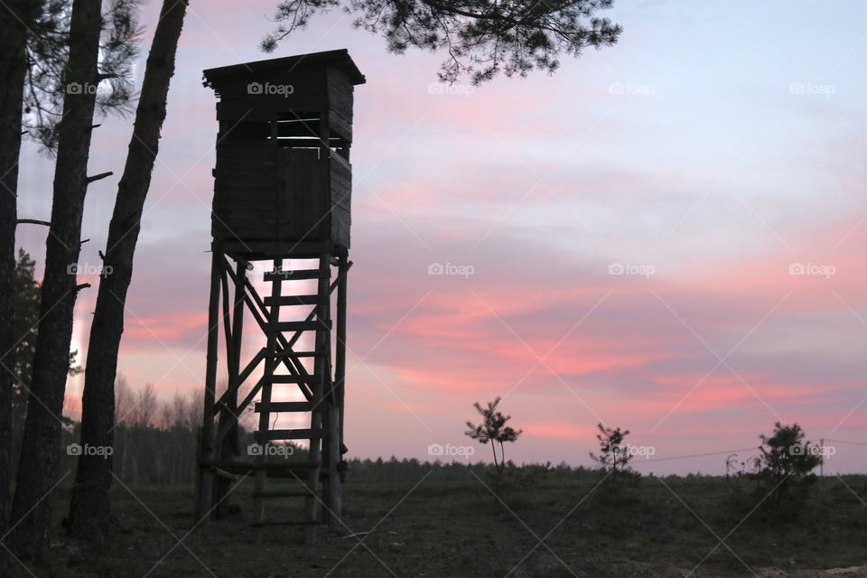 somewhere in the woods ;)