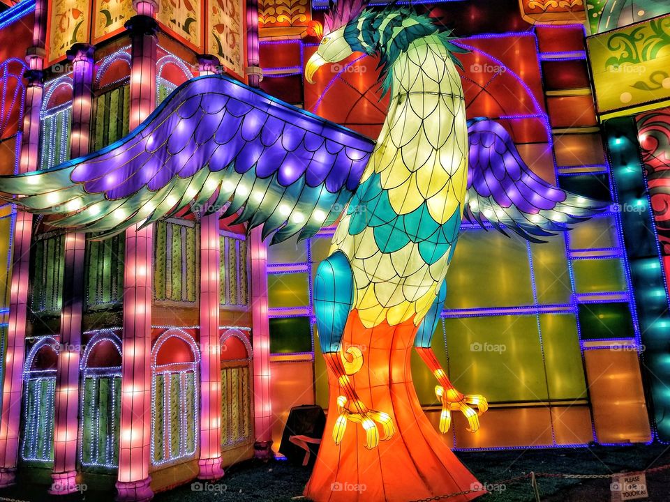 ILLUMINATION of Lights