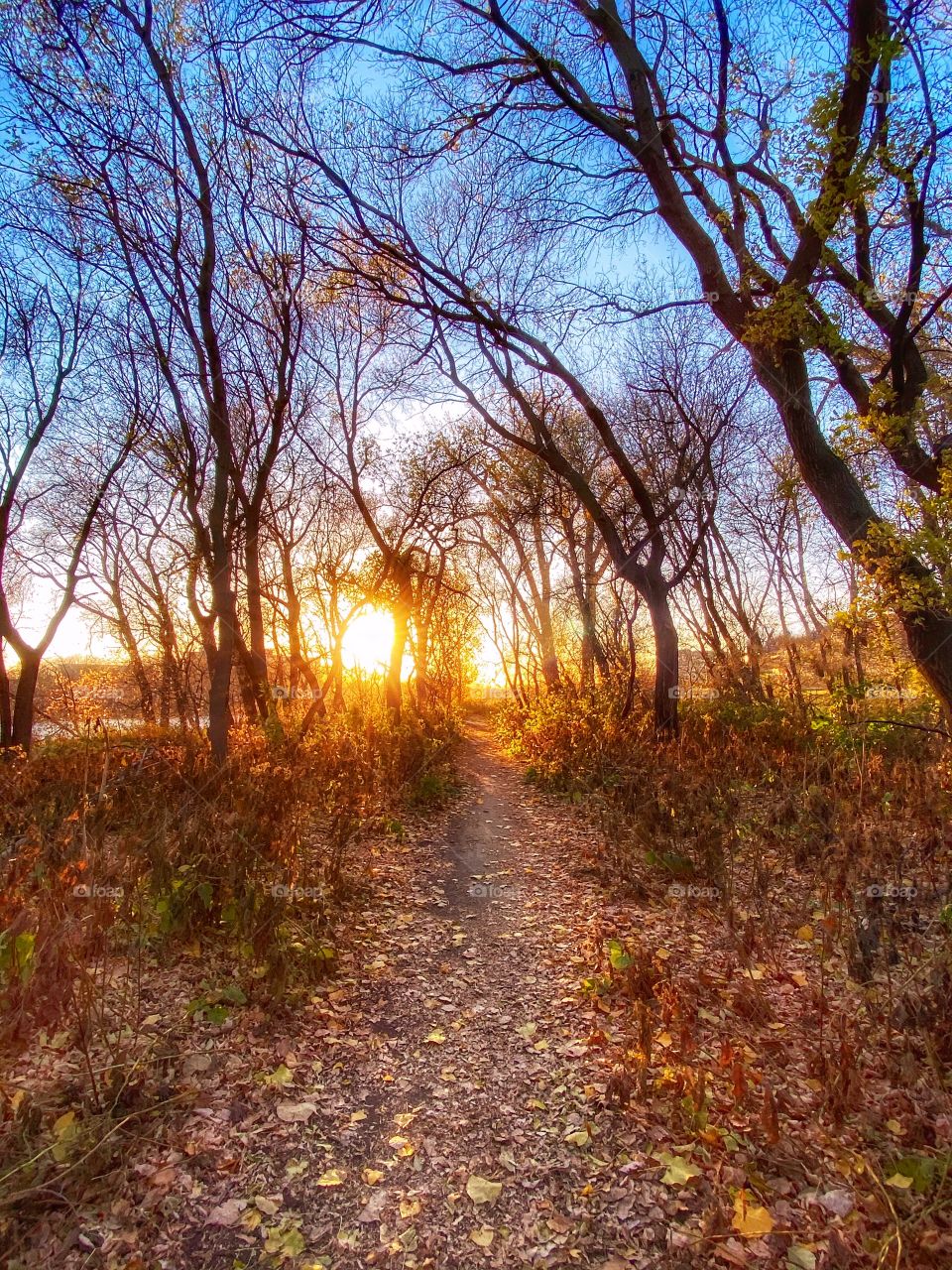 Walking trail at sunset