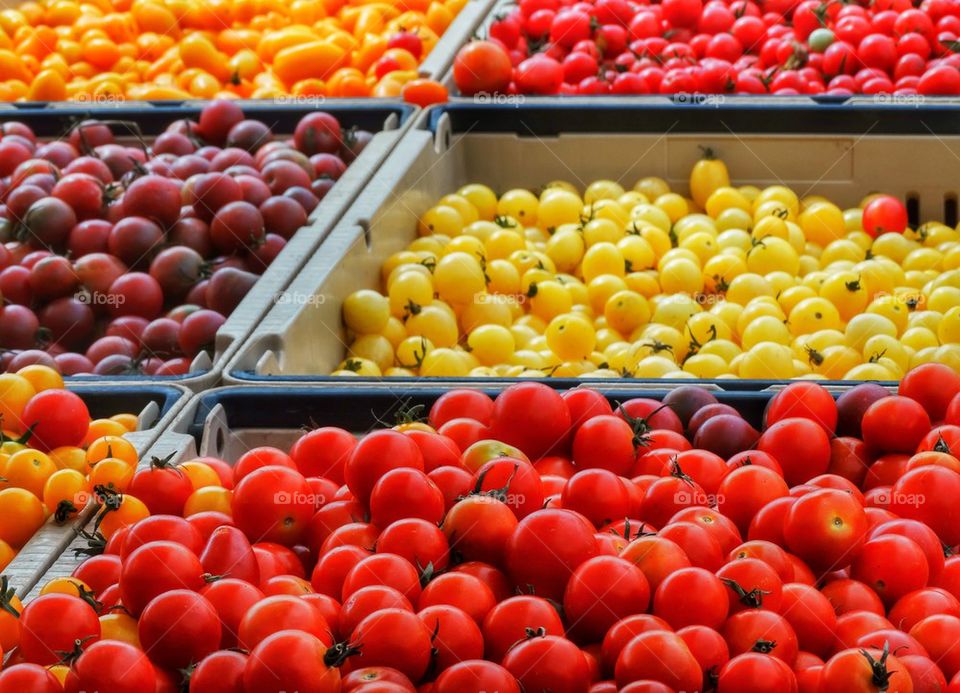 Fresh Tomatoes