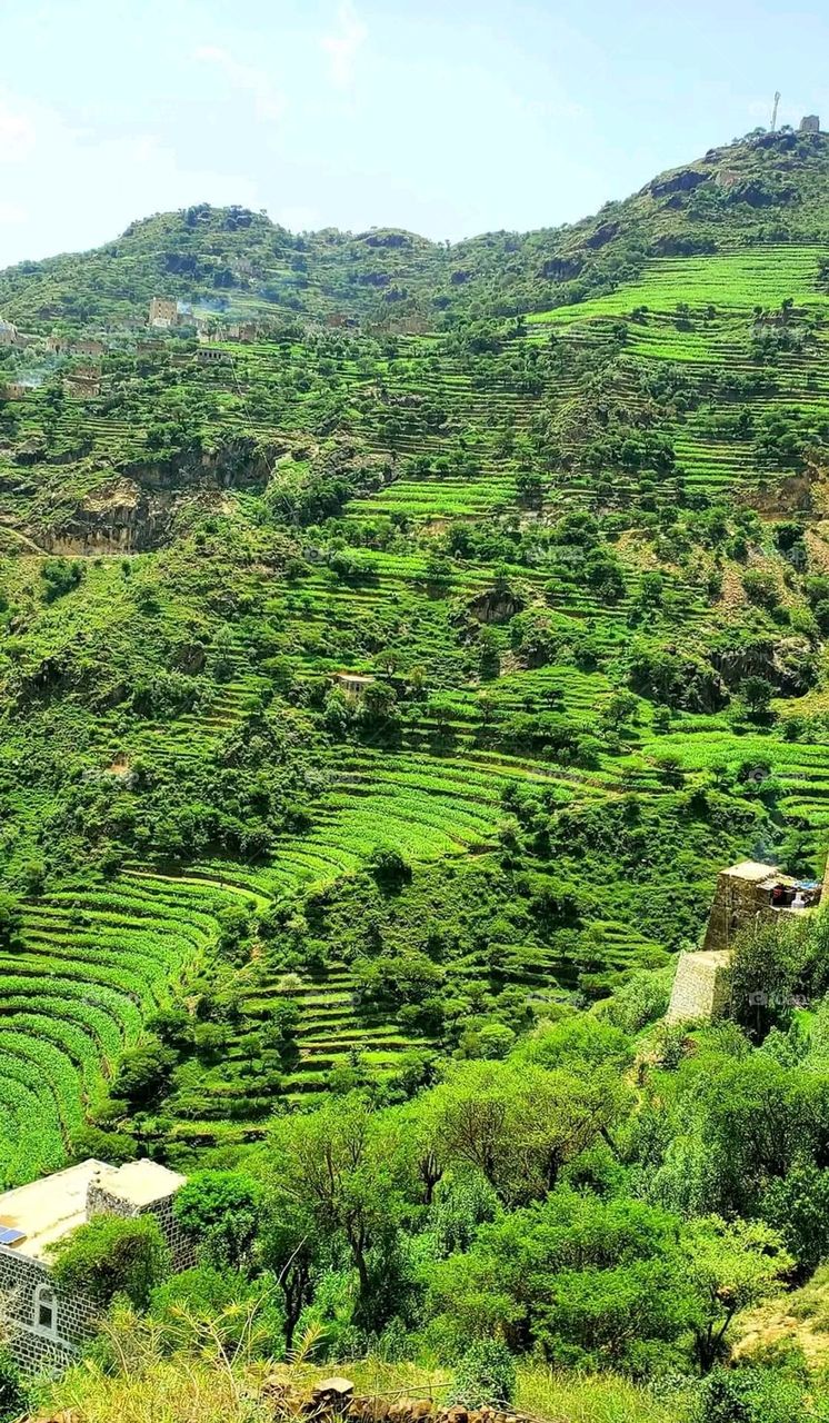 Glory be to God, the magnificent and picturesque view and the natural green trees are a view that is nothing more wonderful than it