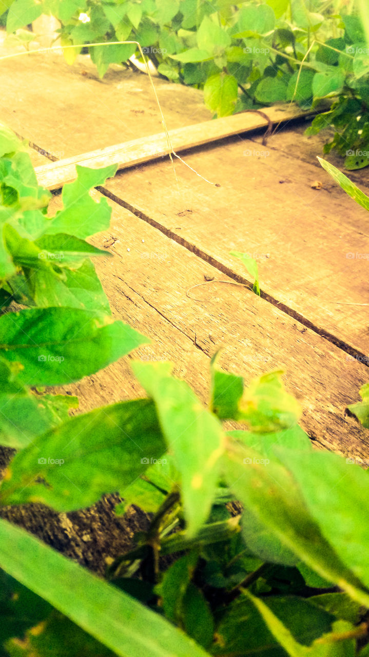 art photography design