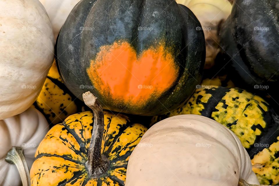 Fall heart shape gourd