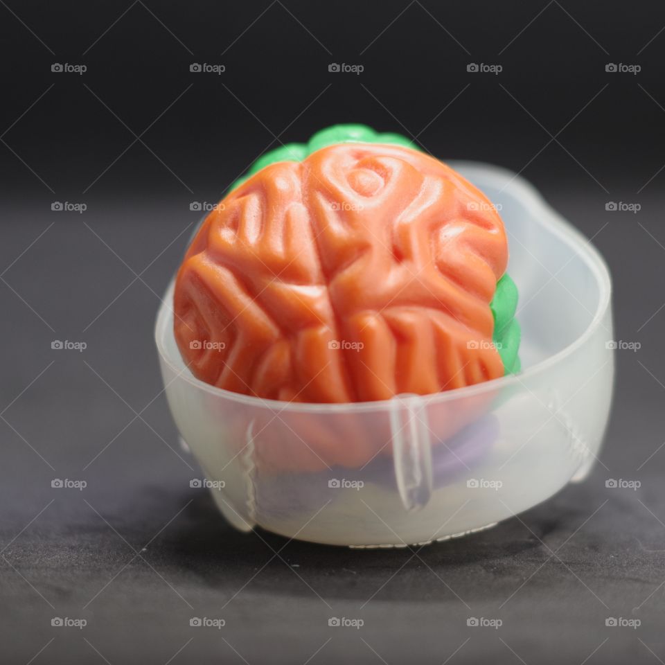 Build your own brain, a plastic model of the human skull and brain.