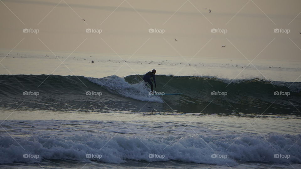 surfer and birds